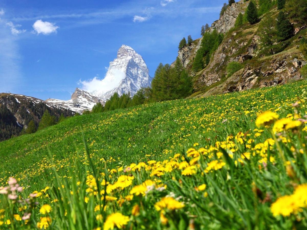 Studio Silence-4 By Interhome Zermatt Eksteriør bilde
